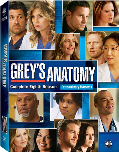 Grey's Anatomy Season 8