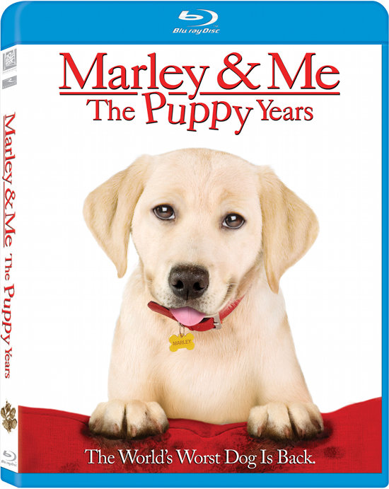 Marley & Me the Puppy Years